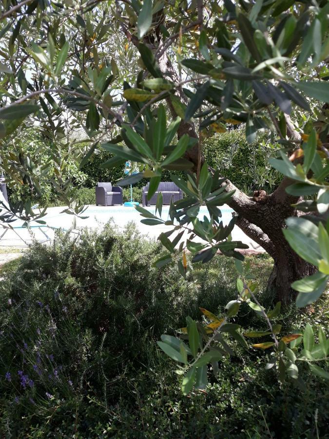 Ana Marija Apartments Porec Bagian luar foto